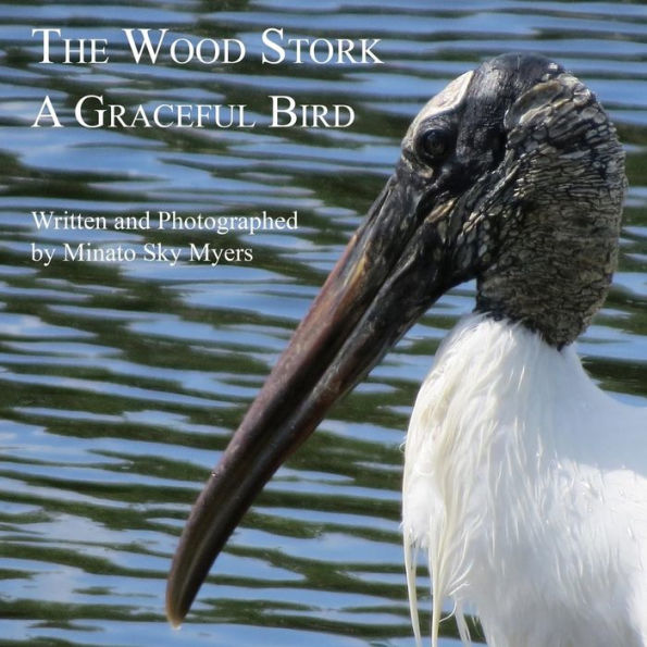 The Wood Stork: A Graceful Bird