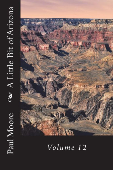 A Little Bit of Arizona: Volume 12