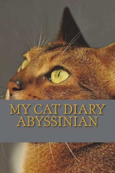 My cat diary: Abyssinian