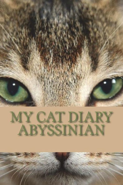 My cat diary: Abyssinian