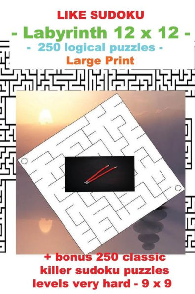 Like Sudoku - Labyrinth 12 X 12 - 250 Logical Puzzles -: Large Print + Solutions + Bonus 250 Classic Killer Sudoku Puzzles Levels Very Hard - 9 X 9