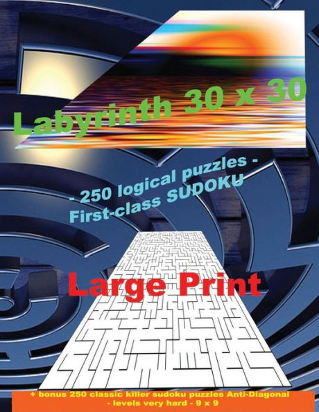 Labyrinth 30 X 30 - 250 Logical Puzzles - First-Class Sudoku: Large Print + Solutions + Bonus 250 Classic Killer Sudoku Puzzles Anti-Diagonal - Levels Very Hard - 9 X 9