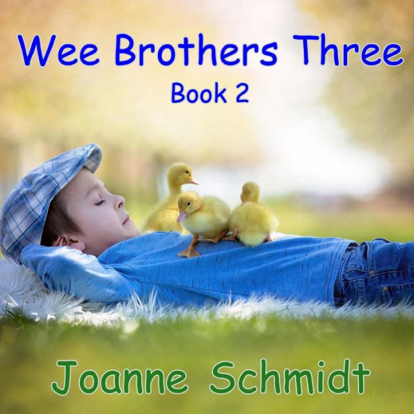 Wee Brothers Three Book 2