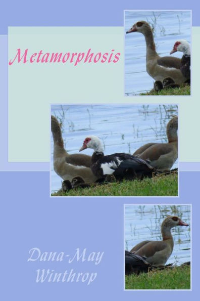 Metamorphosis