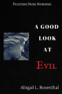 A Good Look at Evil