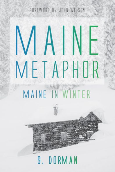 Maine Metaphor: Winter