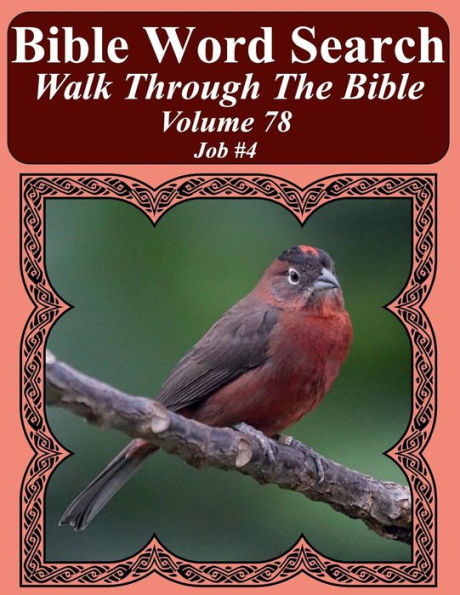 Bible Word Search Walk Through The Bible Volume 78: Job #4 Extra Large Print