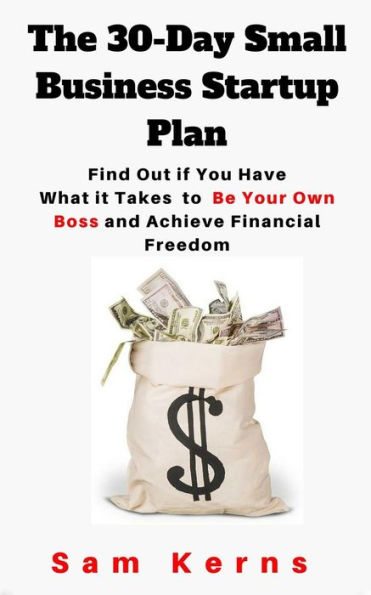 The 30-Day Small Business Startup Plan: Find Out if You Have What it Takes to Be Your Own Boss and Achieve Financial Freedom