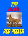 2019 Calendar Red Heeler: Dog weekly calendar, personal contacts list, password log, notes and to do list
