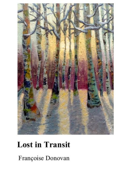 Lost in Transit