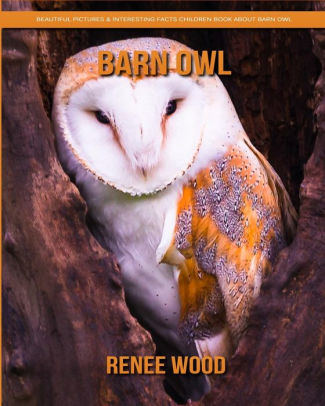 Barn Owl Beautiful Pictures Interesting Facts Children Book