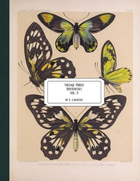 Vintage Prints: Butterflies: Vol