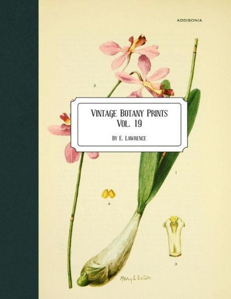 Vintage Botany Prints: Vol. 19