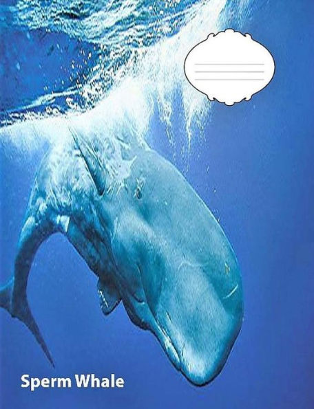 Sperm Whale Wide Ruled Line Paper Composition Book: Whale Fans, Elementary Students, School Supplies, Visual Imparied, Large Handwriting