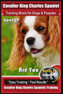 Cavalier King Charles Spaniel Training Book for Dogs & Puppies By BoneUP DOG Training: Are You Ready to Bone Up? Easy Training * Fast Results Cavalier King Charles Spaniel Training