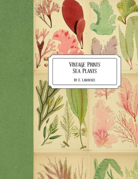 Vintage Prints: Sea Plants