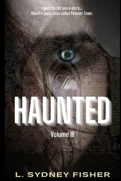 The Haunted: Possum Town: A Haunted History Series Book 3