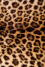 2019 Weekly Planner Leopard Print Faux Texture 134 Pages: (Notebook, Diary, Blank Book)