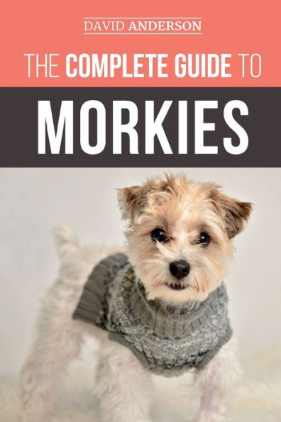 the Complete Guide to Morkies: Everything a new dog owner needs know about Maltese x Yorkie breed