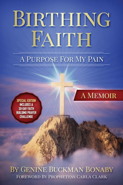 Birthing Faith: A Purpose For My Pain: Special Edition Includes A 30-Day Faith Building Prayer Challenge