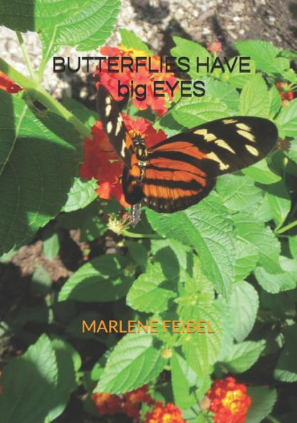 Butterflies Have big Eyes