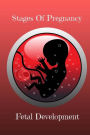 Stages of pregnancy Fetal Development: This Pregnancy Journal is the ultimate journal for every pregnant mom,first time or not you will find everything you need about before birth and after in this journal to guide you and make your pregnancy journey memo