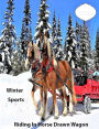 Winter Sports Riding In Horse Drawn Wagon: Text on Back Cover