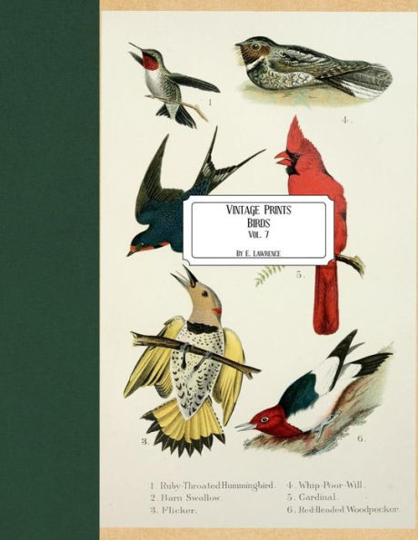 Vintage Prints: Birds: Vol. 7