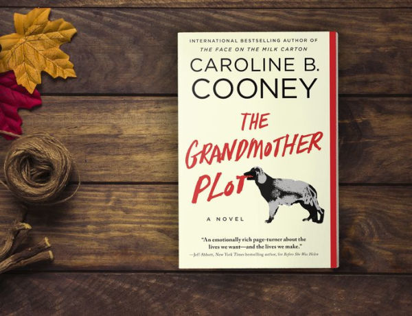 The Grandmother Plot: A Novel