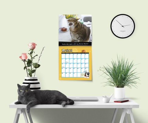 2021 Fat Cats Wall Calendar: Big Cats Big Cattitude by Sourcebooks