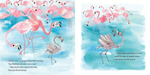 Fussy Flamingo