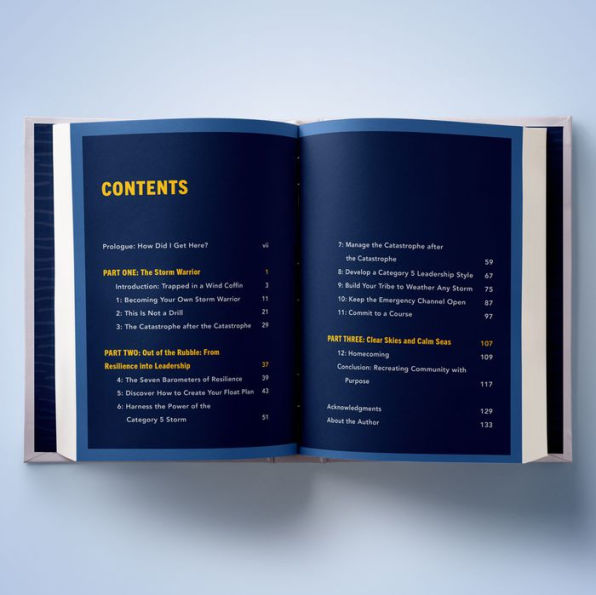 The Resilient Leader: Life Changing Strategies to Overcome Today's Turmoil and Tomorrow's Uncertainty