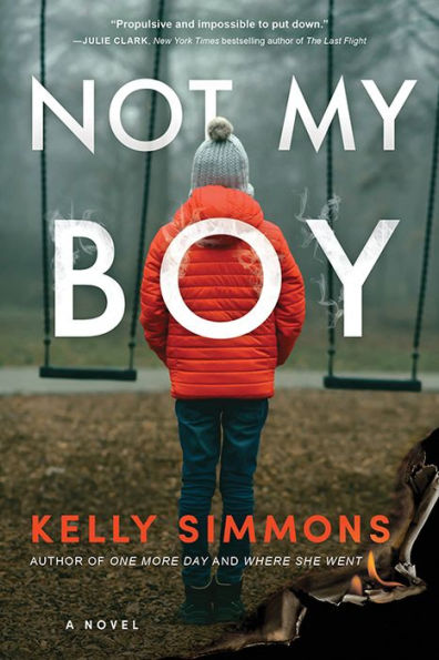 Not My Boy: A Novel