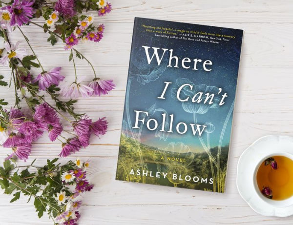 Where I Can't Follow: A Novel