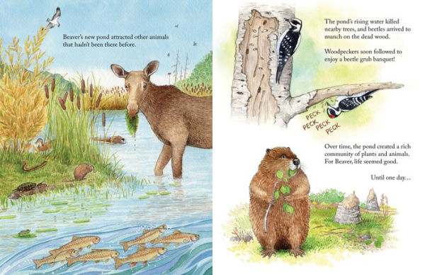 Beaver and Otter Get Along...Sort of: A Story of Grit and Patience Between Neighbors