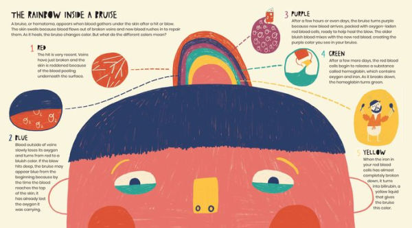 The Secret Life of Boo-Boos: super science behind how your body heals bumps, bruises, scratches, and scrapes!