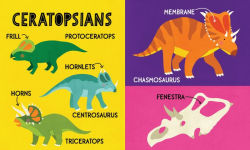 Alternative view 9 of My First 100 Dinosaur Words