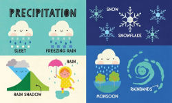 Alternative view 8 of My First 100 Weather Words