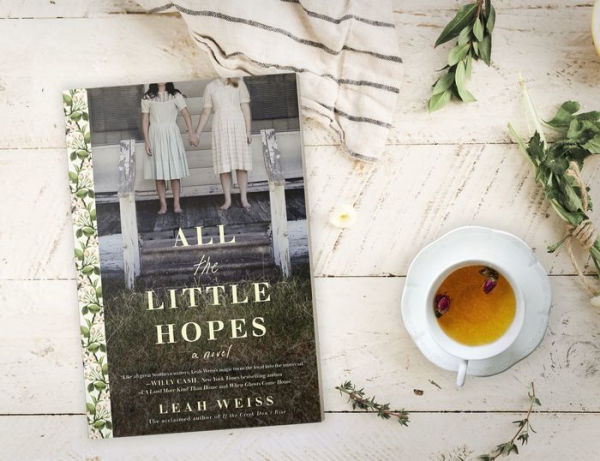 All the Little Hopes: A Novel