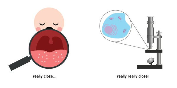 Germ Theory for Babies