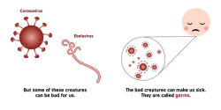 Alternative view 13 of Germ Theory for Babies