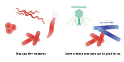 Alternative view 16 of Germ Theory for Babies