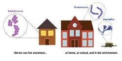 Alternative view 21 of Germ Theory for Babies