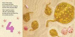 Alternative view 4 of Over in the Ocean: A beach baby animal habitat book