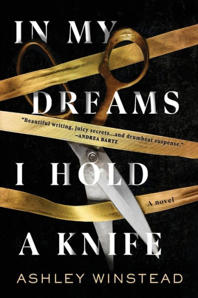 My Dreams I Hold A Knife: Novel