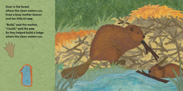 Over the Forest: A woodland animal nature book