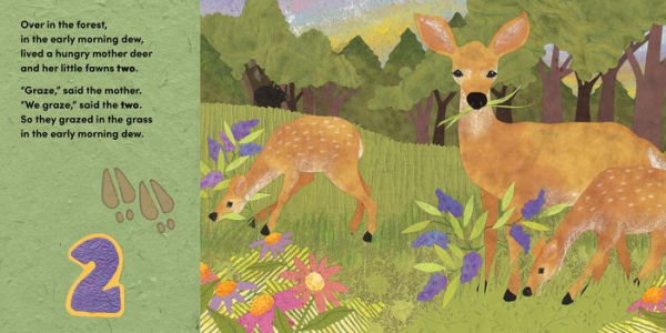 Over the Forest: A woodland animal nature book