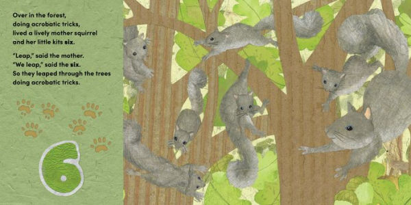 Over the Forest: A woodland animal nature book