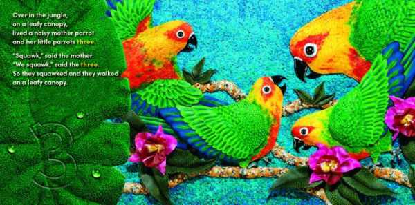 Over the Jungle: A rain forest baby animal counting book