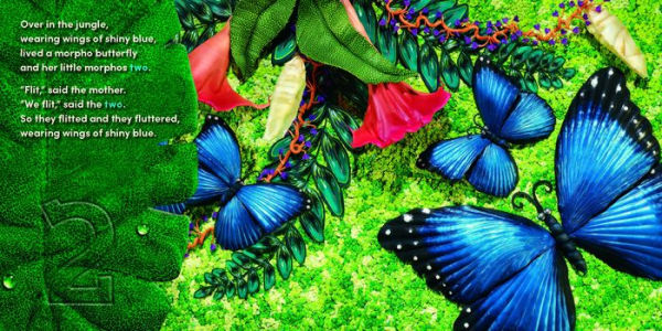Over the Jungle: A rain forest baby animal counting book